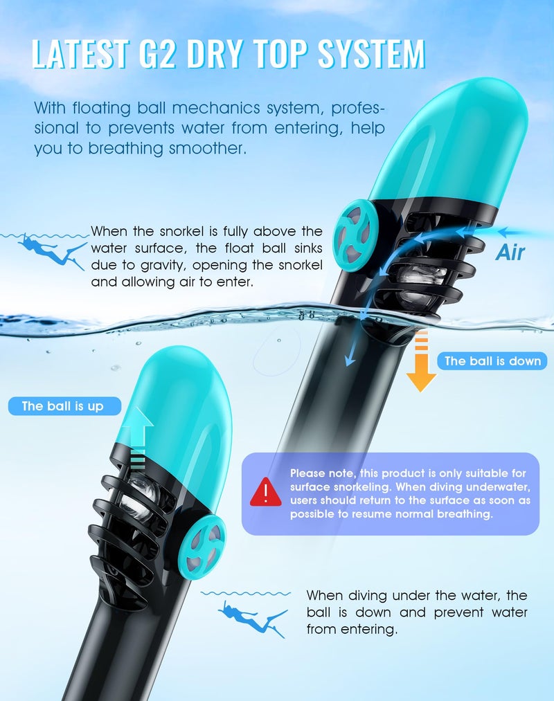 Greatever G2 Full Face Snorkel Mask with Latest Dry Top System,Foldable 180 Degree Panoramic View Snorkeling Mask with Camera Mount,Safe Breathing,Anti-Leak&Anti-Fog - Image 3